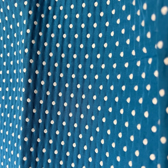 J.Crew Blue Swiss Dot Cafe Capri Pants s. 2 - Picture 4 of 5